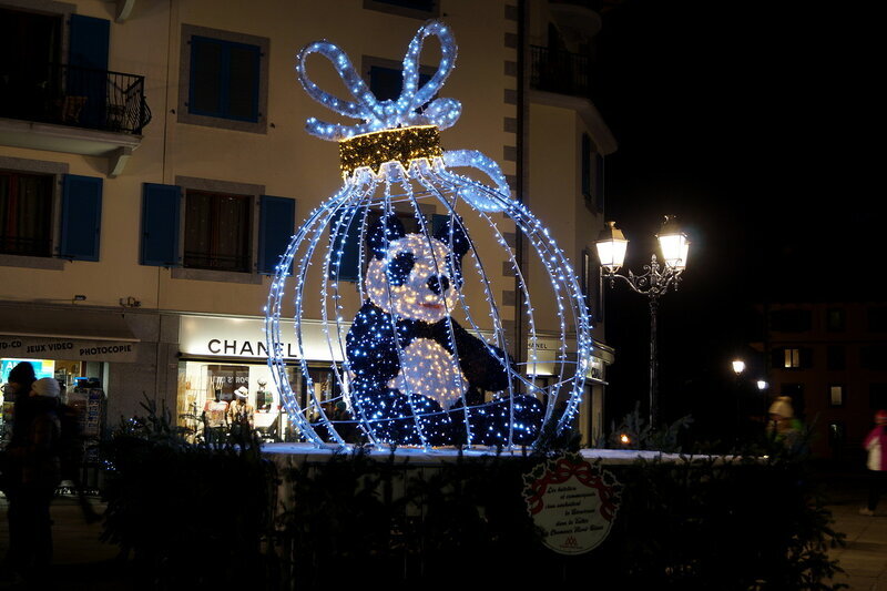DSC00852.jpg
