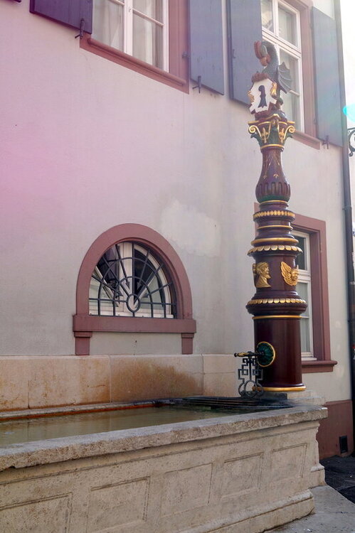 DSC03234.jpg