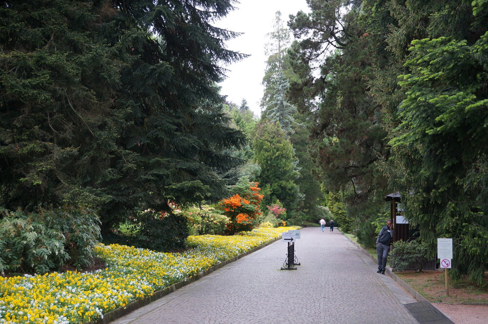 DSC06099.JPG