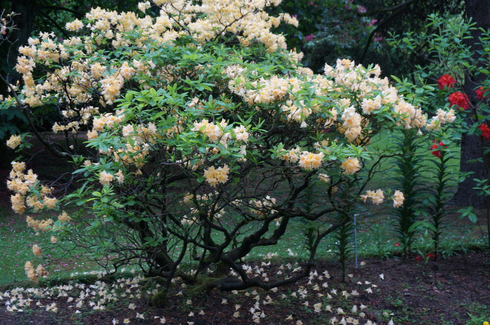 DSC06114.JPG