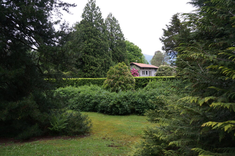 DSC06118.JPG