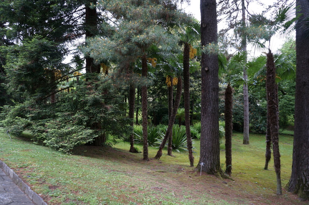 DSC06124.JPG