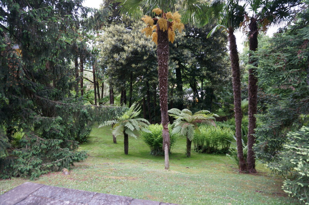 DSC06127.JPG