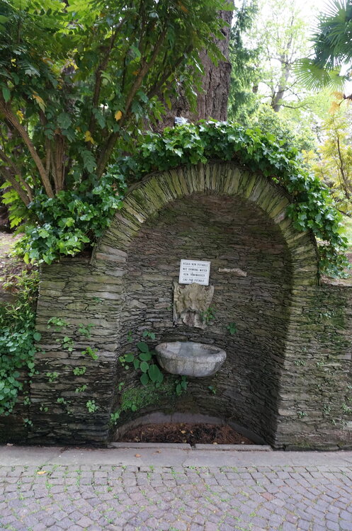 DSC06130.JPG