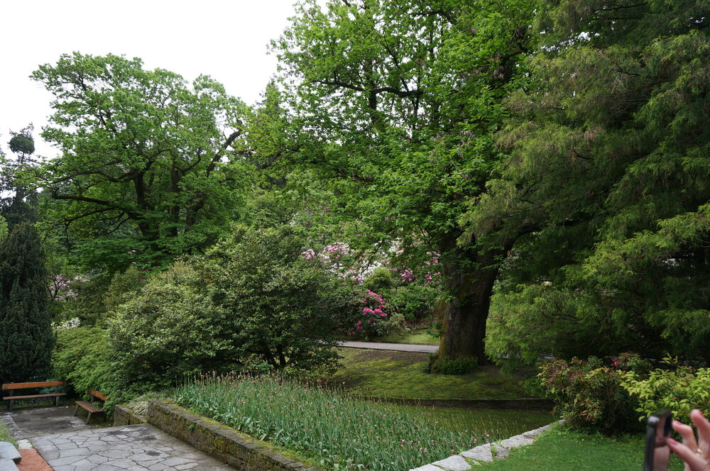 DSC06156.JPG