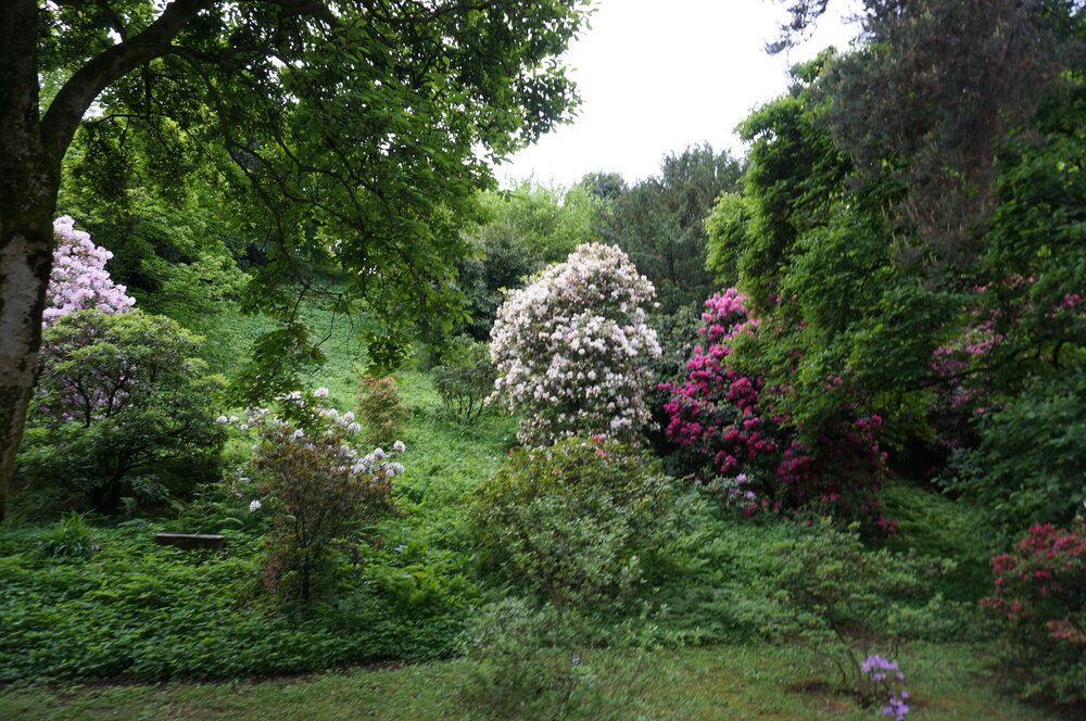 DSC06170.JPG