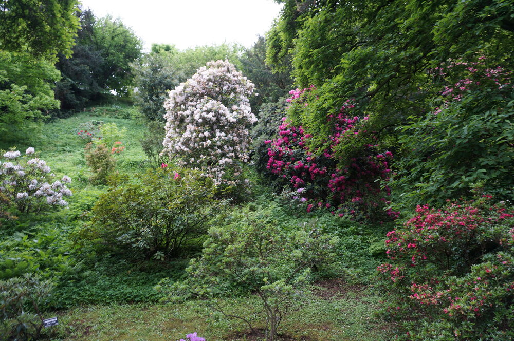 DSC06171.JPG