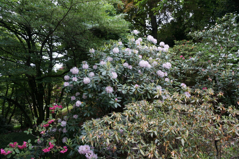 DSC06173.JPG