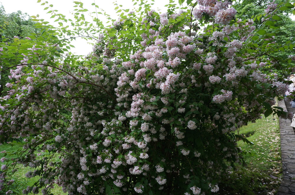 DSC06185.JPG