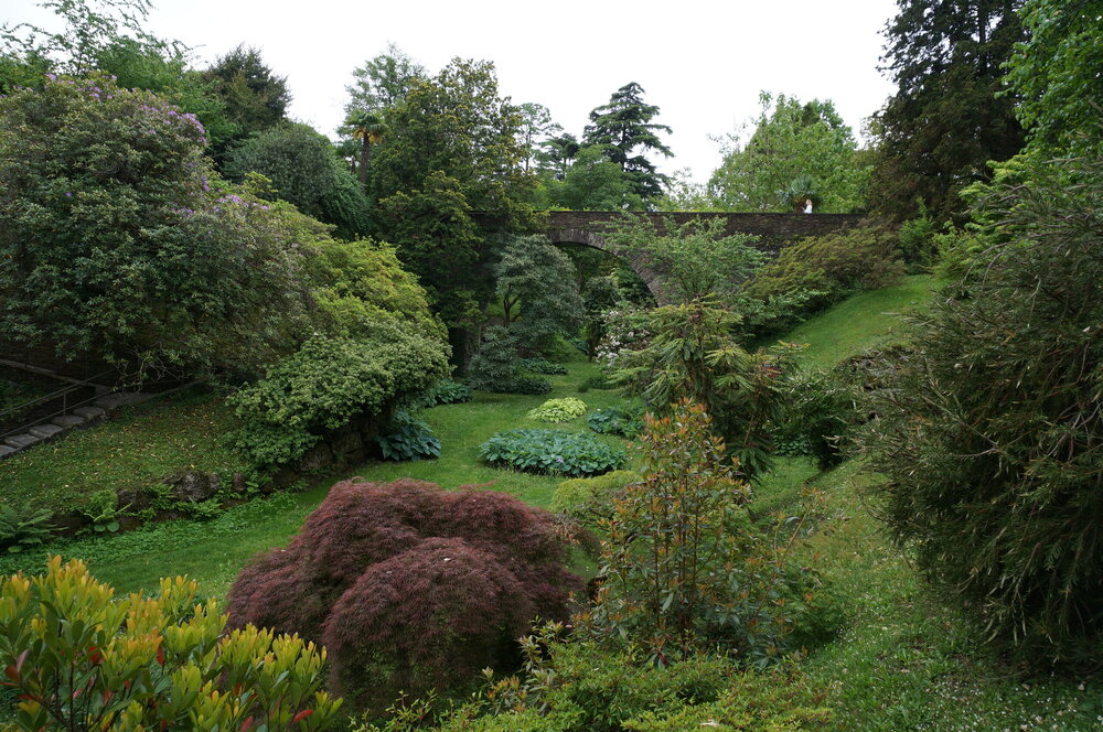 DSC06187.JPG