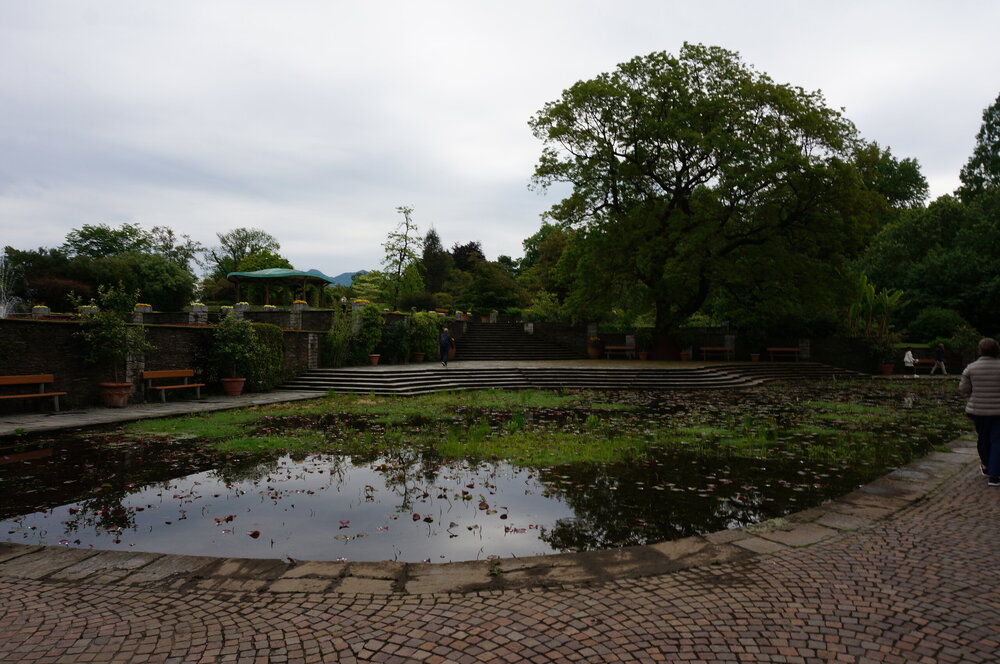 DSC06196.JPG