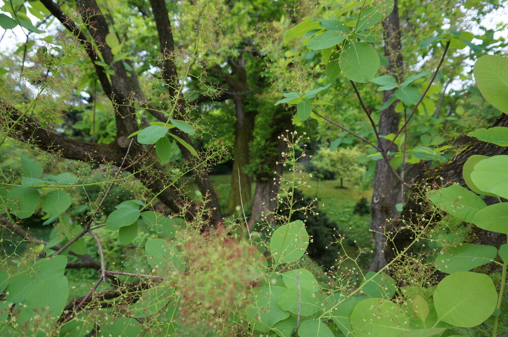 DSC06199.JPG
