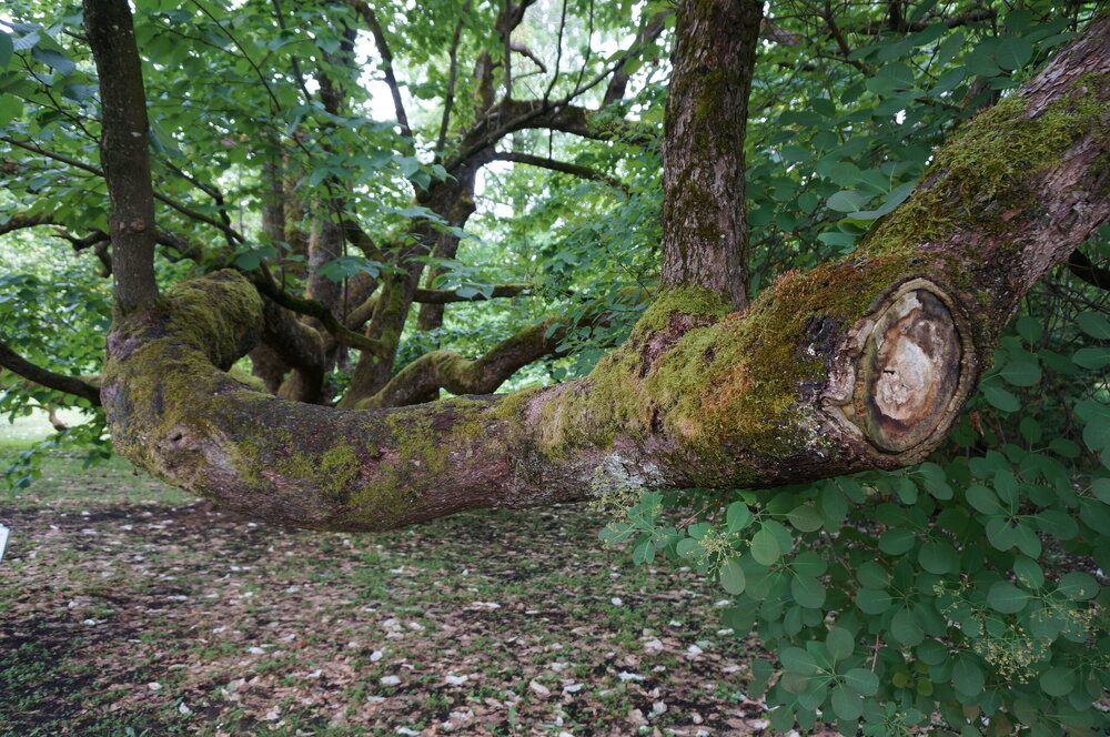 DSC06205.JPG