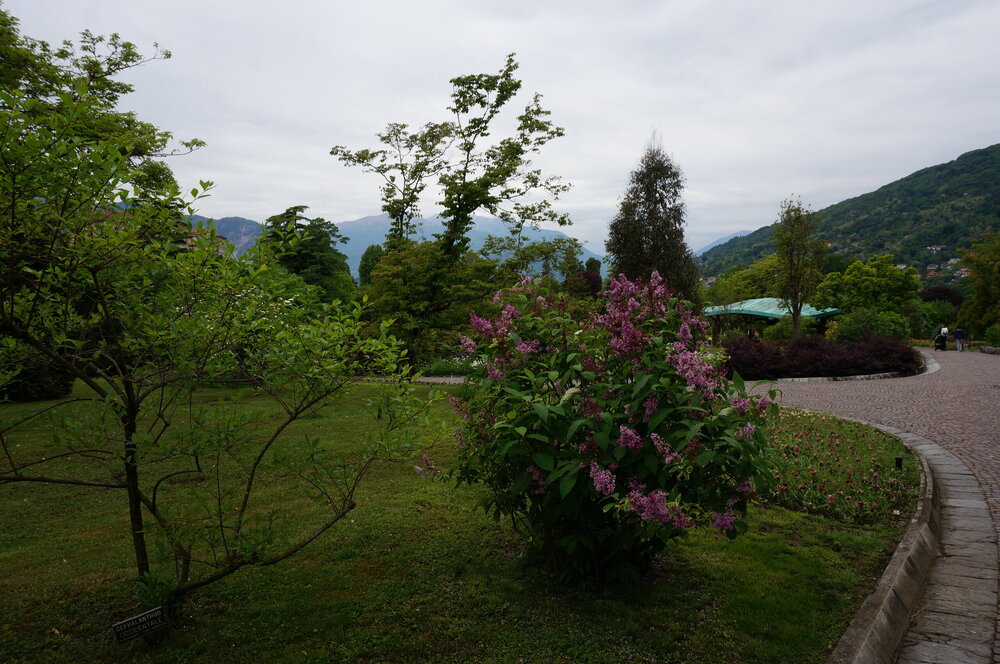 DSC06213.JPG