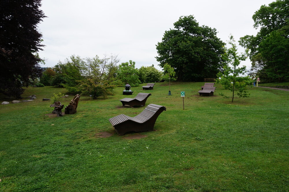 DSC06217.JPG
