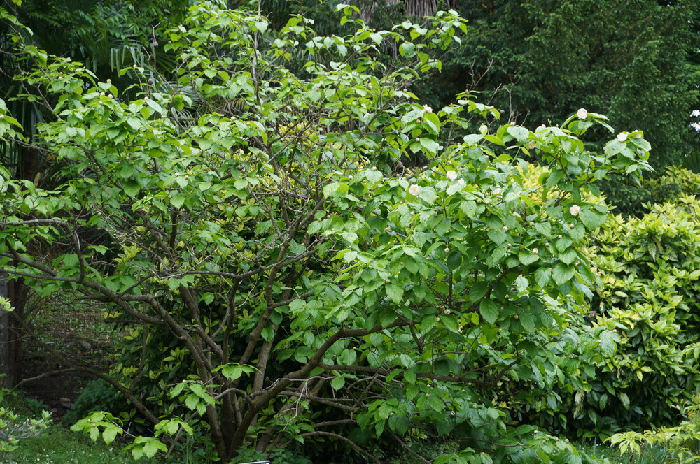 DSC06218.JPG
