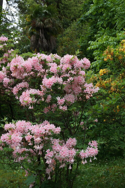 DSC06219.JPG