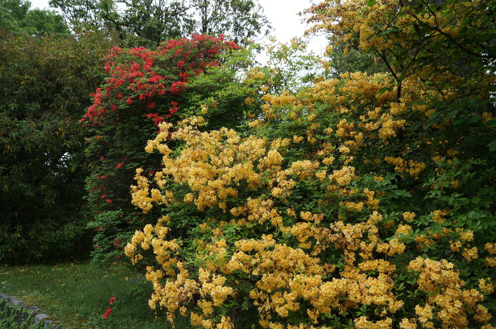 DSC06220.JPG