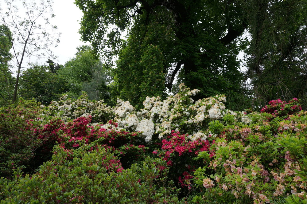 DSC06225.JPG