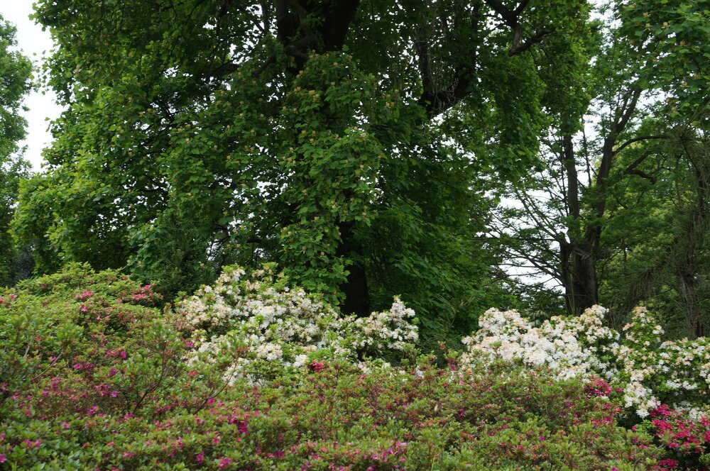 DSC06229.JPG
