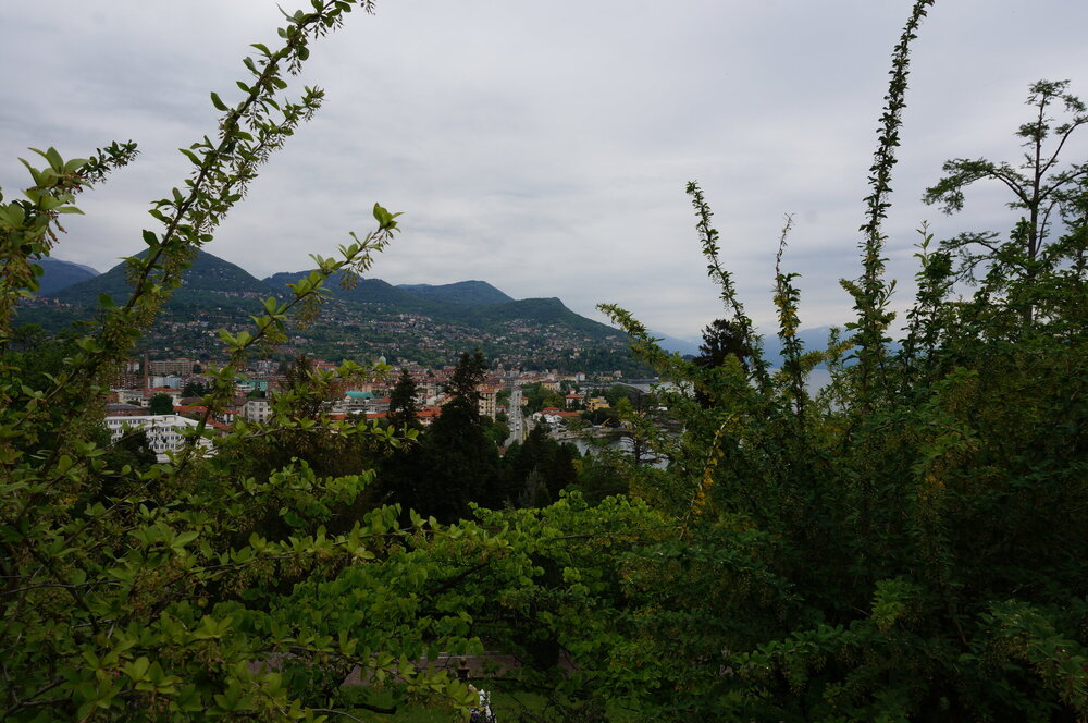 DSC06239.JPG