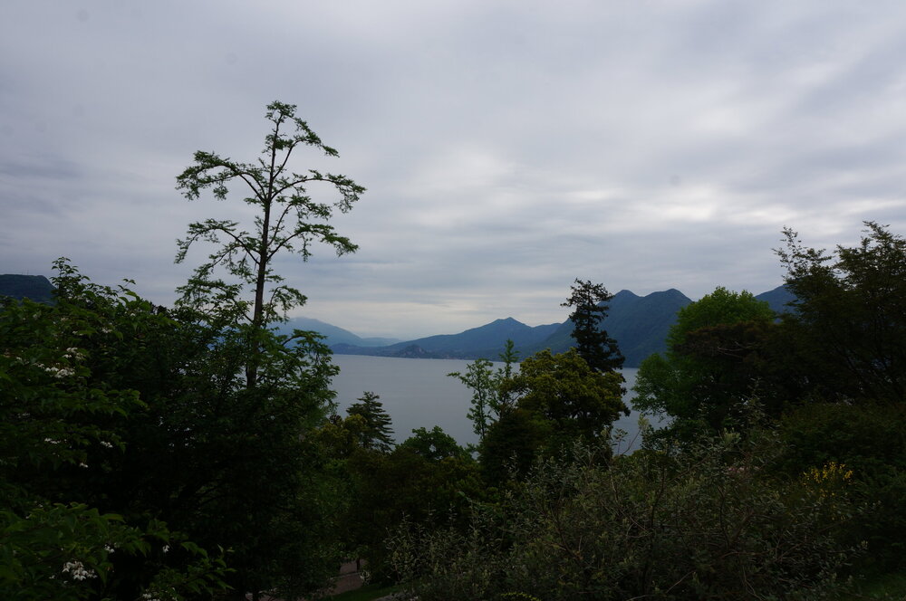 DSC06242.JPG