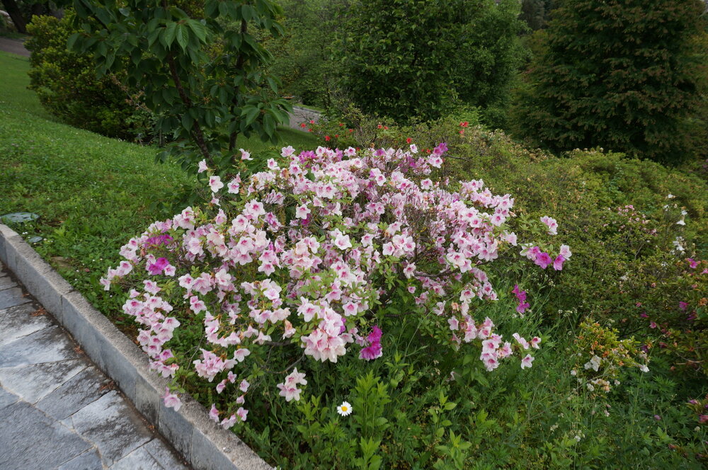 DSC06245.JPG