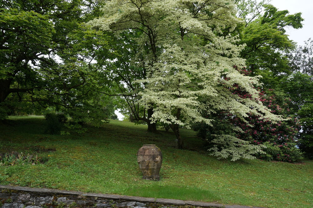 DSC06249.JPG