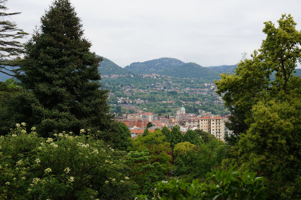 DSC06252.JPG