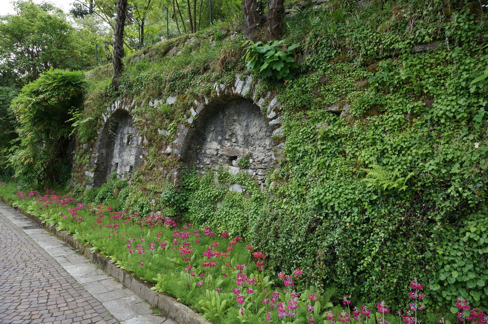 DSC06260.JPG