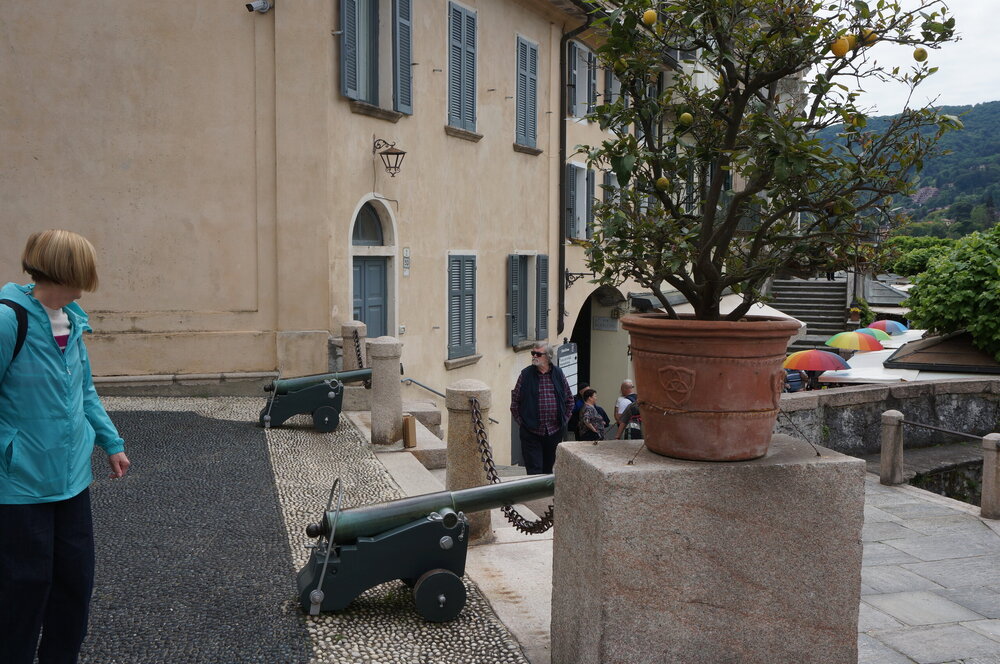 DSC06284.JPG