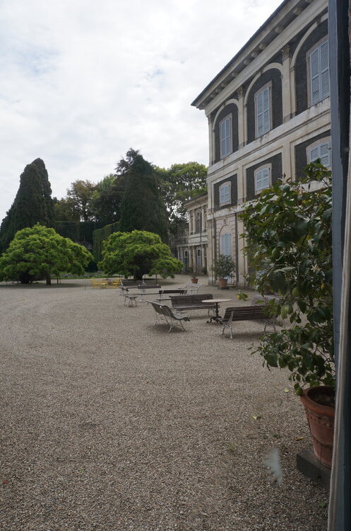 DSC06415.JPG