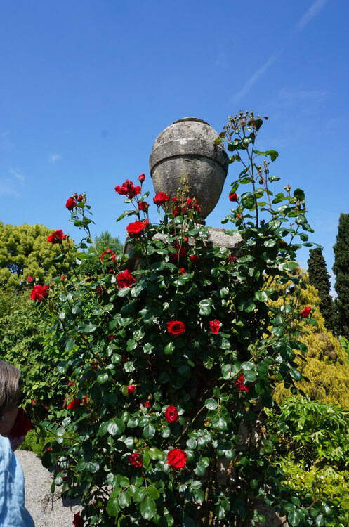DSC06486.JPG
