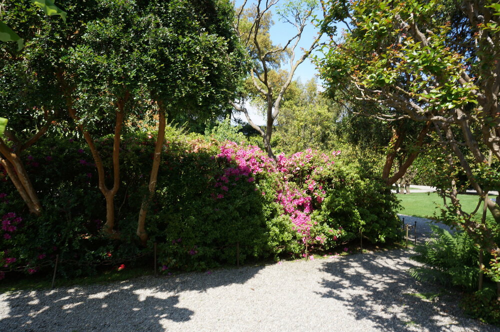 DSC06487.JPG