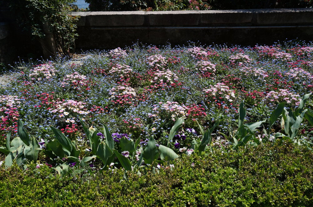 DSC06494.JPG