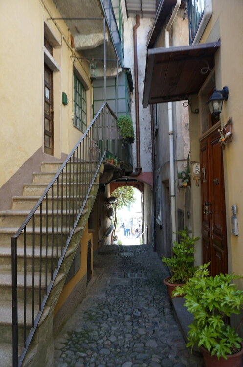 DSC06535.JPG
