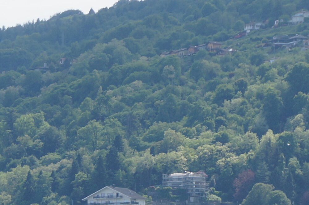 DSC06549.JPG