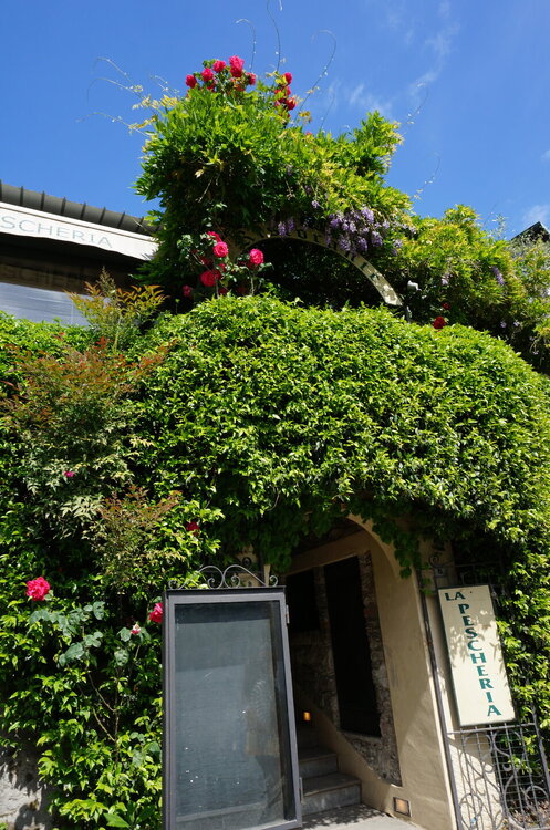 DSC06552.JPG