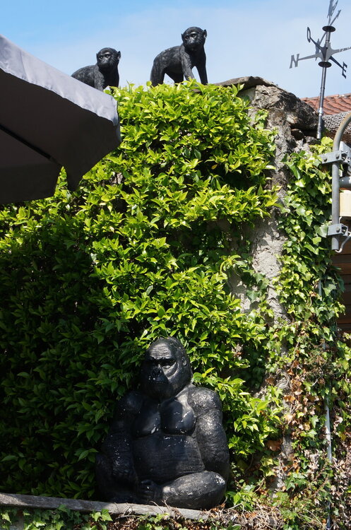 DSC06558.JPG