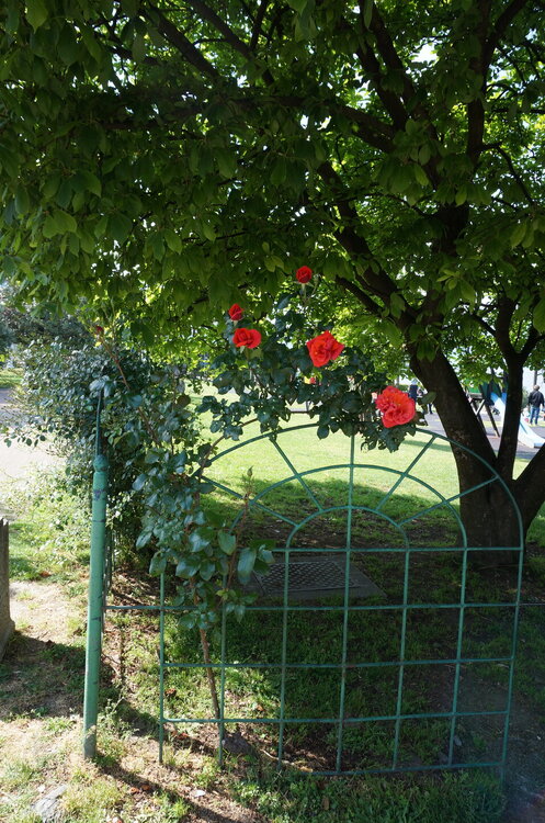DSC06589.JPG