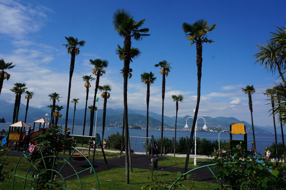 DSC06590.JPG