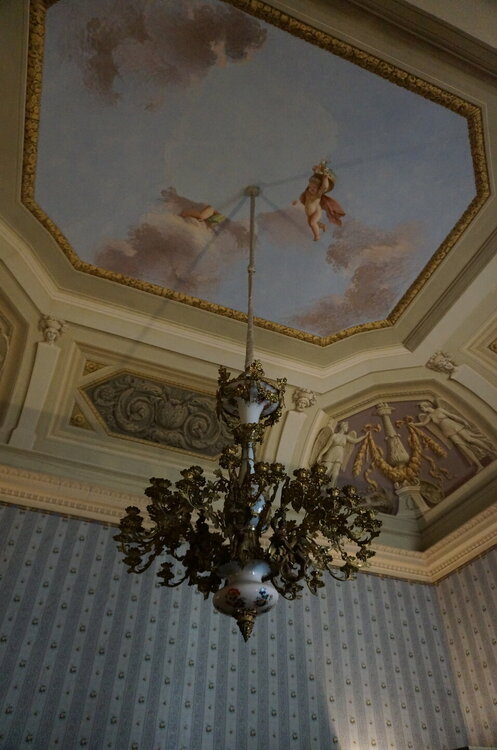 DSC07335.JPG