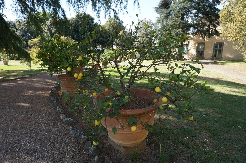 DSC07354.JPG