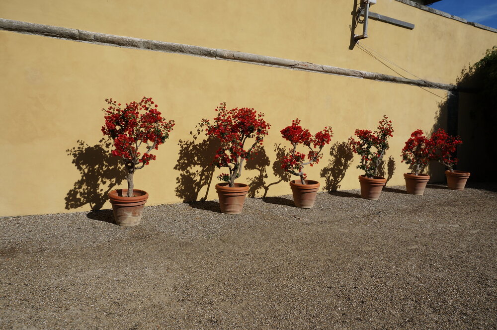 DSC07356.JPG