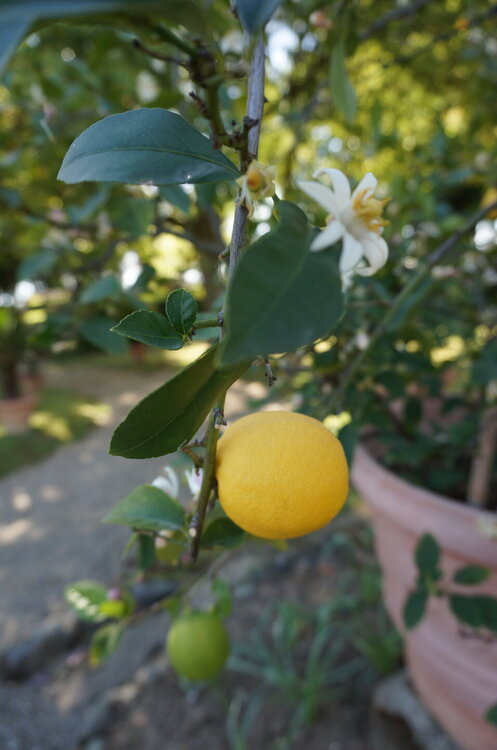 DSC07366.JPG