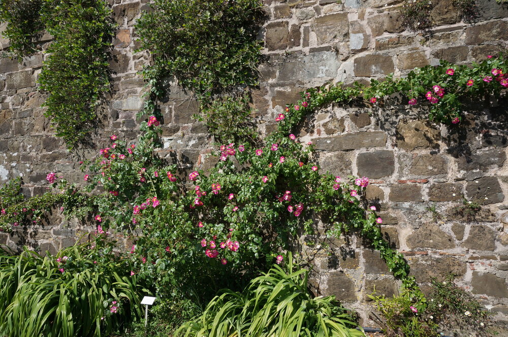 DSC07393.JPG