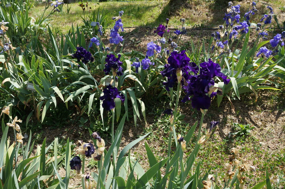 DSC07397.JPG
