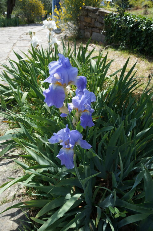 DSC07401.JPG