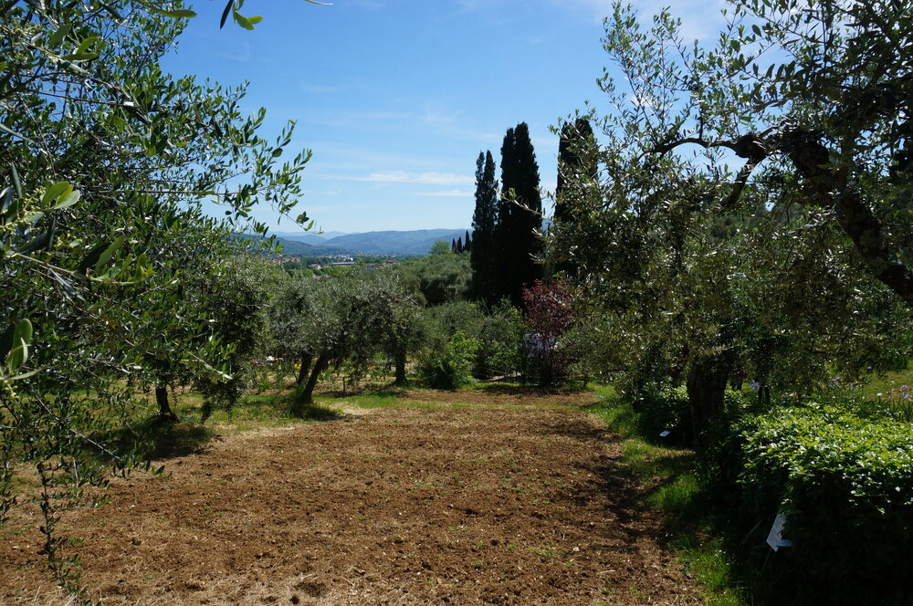 DSC07405.JPG