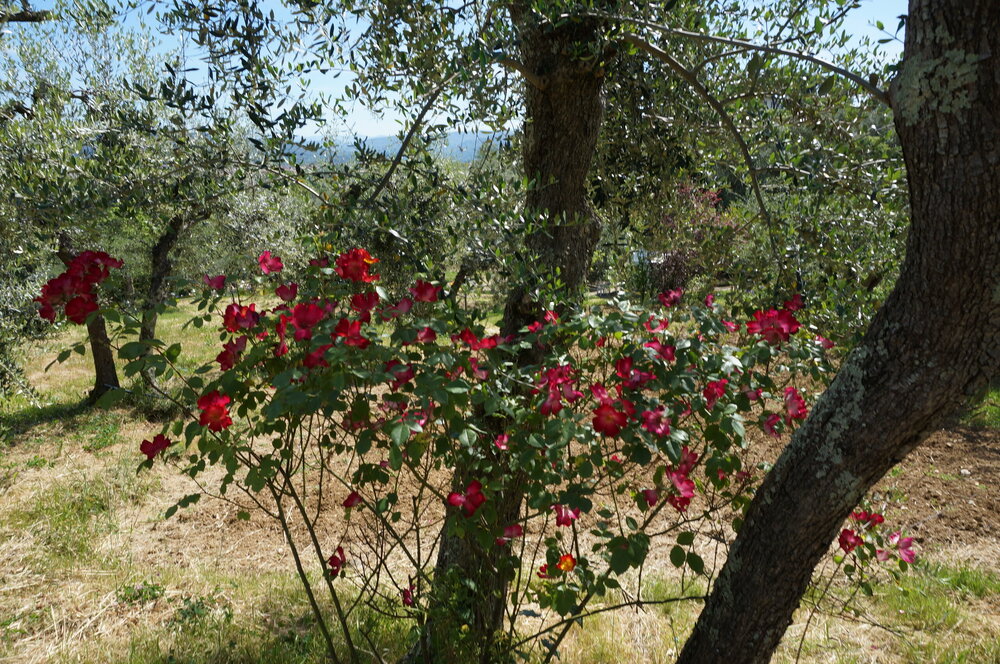 DSC07406.JPG